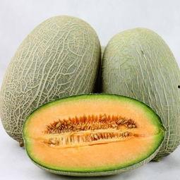 大叔请你吃哈密瓜,哈密瓜美食之旅