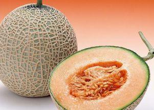 玄凤吃哈密瓜,探索哈密瓜的甜蜜诱惑