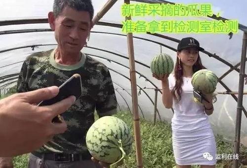 吃瓜群众在线直播,吃瓜群众在线围观，揭秘网络直播幕后故事