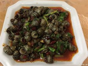 五一为什么吃瓜,揭秘“吃瓜群众”的狂欢盛宴