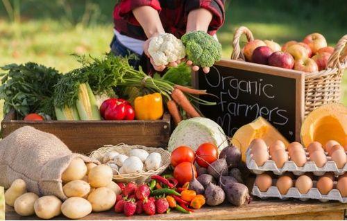 月子吃瓜篓,如何科学享用“吃瓜篓”美味与营养