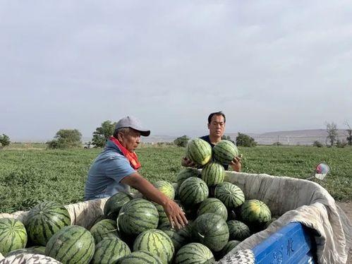 一彤吃瓜,揭秘娱乐圈幕后故事