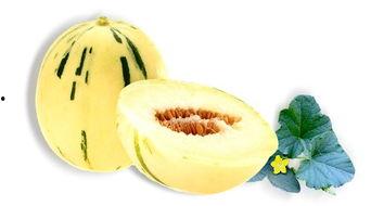 甜瓜面瓜怎么吃,甜瓜与面瓜的多彩食法探索