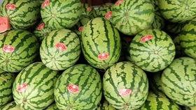 河马吃西瓜吃哈密瓜,西瓜与哈密瓜的甜蜜邂逅