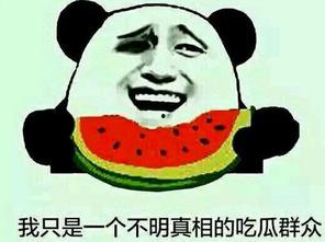 吃瓜群众拱火,网络舆论的狂欢与反思