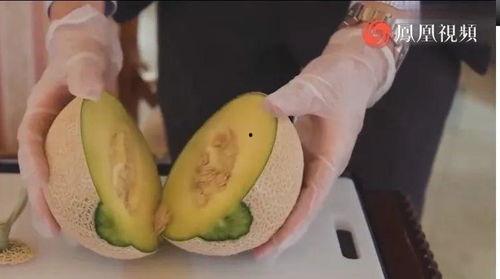 一吃蜜瓜就咳痰,蜜瓜诱发咳痰现象揭秘