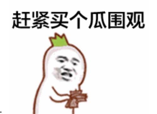 吃瓜群众表情视频,笑料百出，揭秘网络表情文化