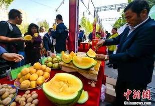 最新缅甸吃瓜新闻视频,揭秘神秘事件背后的真相