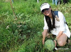 地里吃瓜的野兽,探寻自然生态奇观