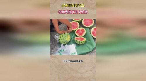 旋转会吃生瓜的瓜老板,瓜老板的奇幻瓜园之旅