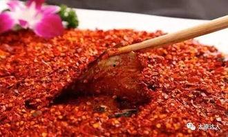 蹄蹄乐吃瓜,揭秘瓜界那些事儿