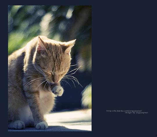 吃瓜小熊的作品打工,趣味职场生活大揭秘