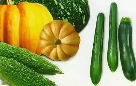 夏天吃瓜才解渴,吃瓜解渴，清凉一夏