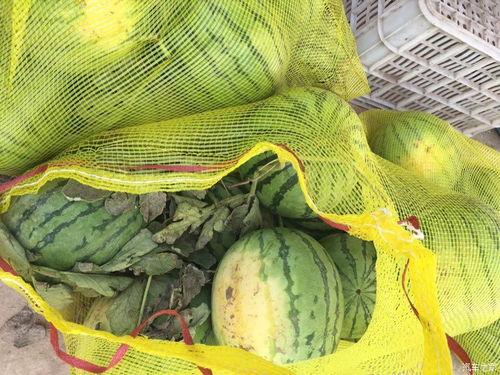 车友圈吃瓜,揭秘汽车圈那些不为人知的幕后故事