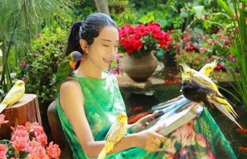 吃瓜在仙境三,吃瓜者的奇幻之旅