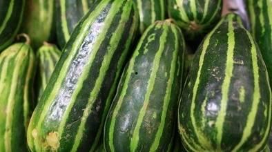 脆肉瓜怎么吃,解锁美味新体验