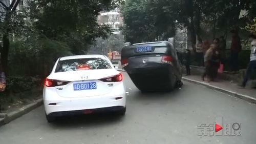 吃瓜撞到车,一幕闹剧引发网友热议