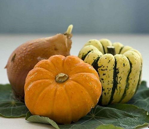 深圳处南门吃瓜,夏日吃瓜好去处，清凉一夏尽在此处